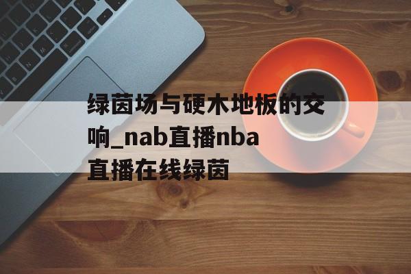 绿茵场与硬木地板的交响_nab直播nba直播在线绿茵