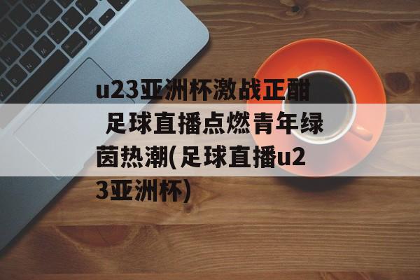 u23亚洲杯激战正酣 足球直播点燃青年绿茵热潮(足球直播u23亚洲杯)
