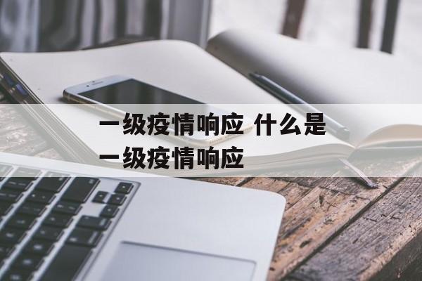 一级疫情响应 什么是一级疫情响应