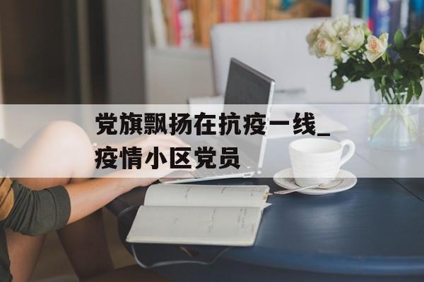 党旗飘扬在抗疫一线_疫情小区党员