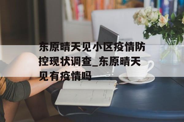 东原晴天见小区疫情防控现状调查_东原晴天见有疫情吗