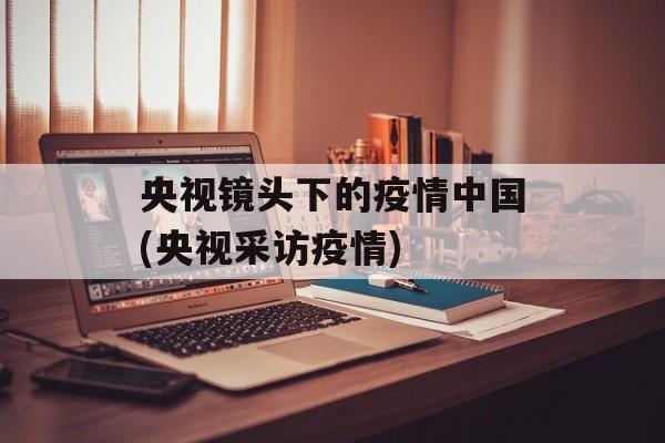 央视镜头下的疫情中国(央视采访疫情)