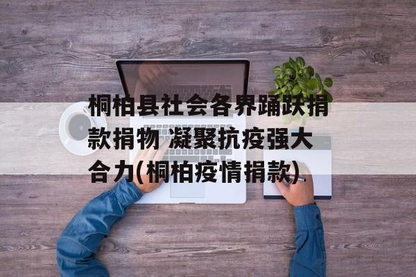 桐柏县社会各界踊跃捐款捐物 凝聚抗疫强大合力(桐柏疫情捐款)