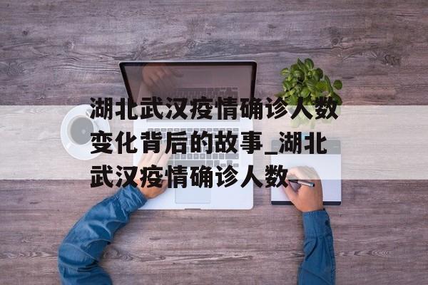 湖北武汉疫情确诊人数变化背后的故事_湖北武汉疫情确诊人数